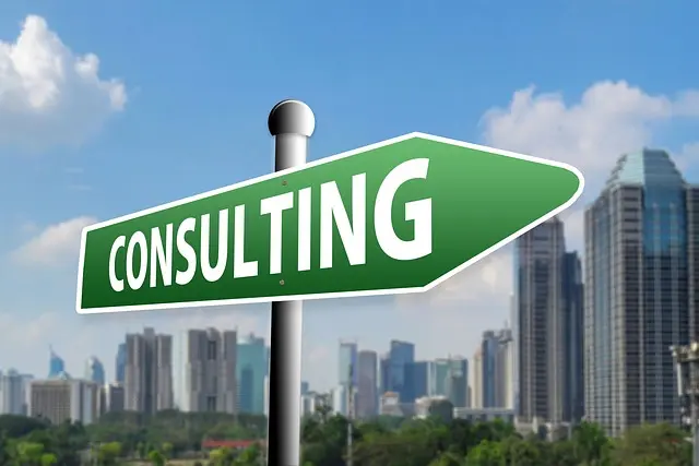 Les Meilleurs Conseils pour Choisir une Expertise Financière