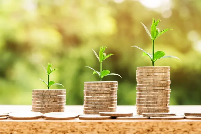 Comprendre les Différents Types d'Expertises Financières