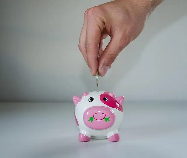 Comprendre la Différence entre Assurance Vie et Épargne Retraite