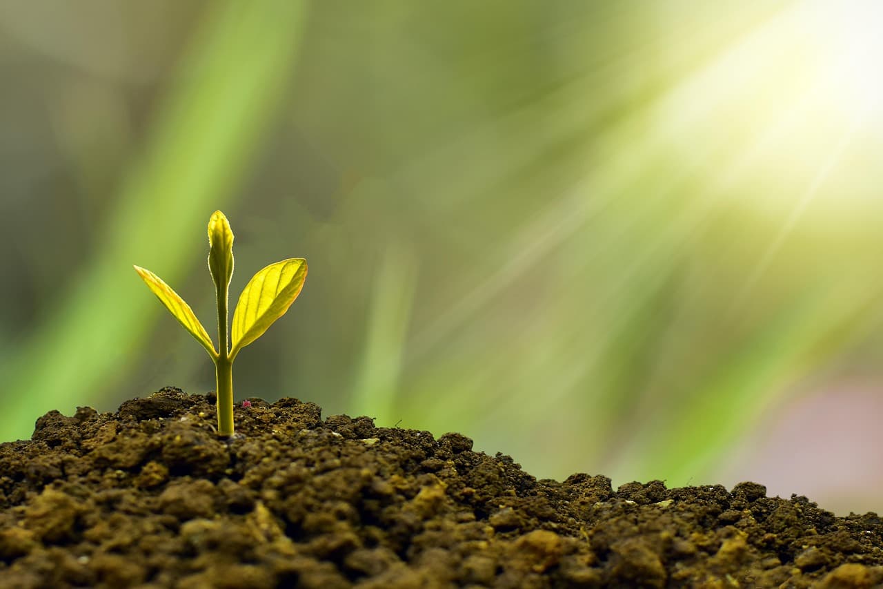 10 Conseils pour Maximiser Vos Investissements Financiers
